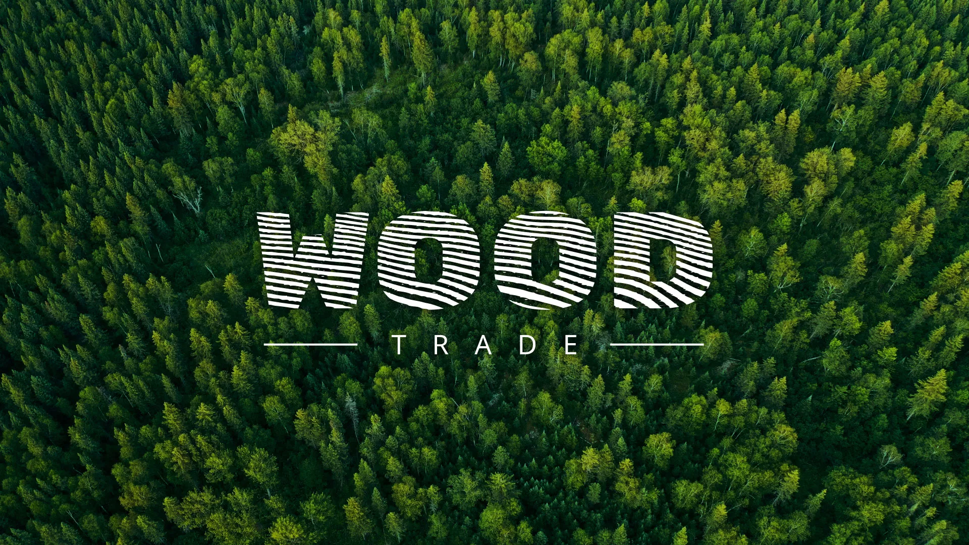 Разработка интернет-магазина компании «Wood Trade» в Карабулаке